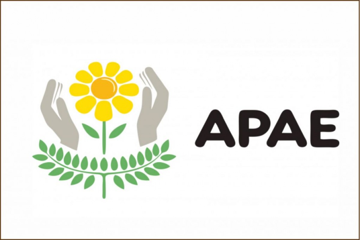 Legislativo Penhense inaugura galeria com obras de alunos da APAE Legislativo Penhense inaugura galeria com obras de alunos da APAE