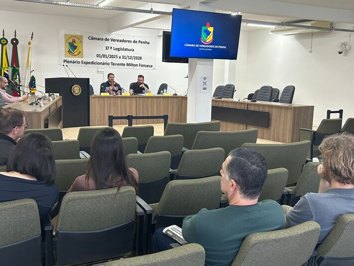 CFO realiza audiência pública sobre a LDO 2026