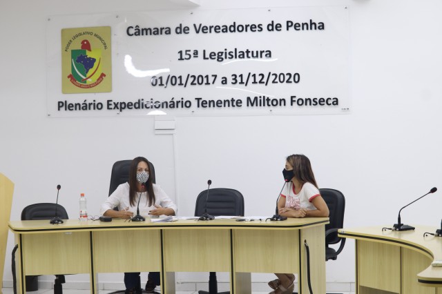 Audiência Pública - LOA 2021 - 17/11/2020
