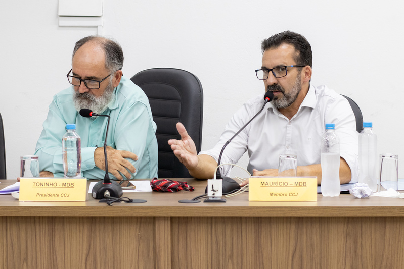 Comissões Permanentes - 07/04/2025