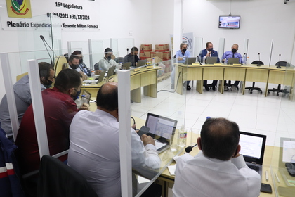31ª Reunião Ordinária 