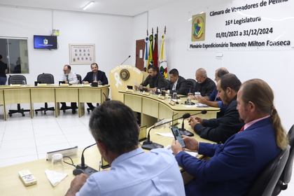 15ª Reunião Ordinária 