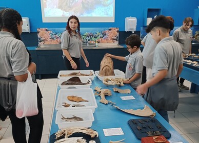 Visita técnica Câmara Mirim