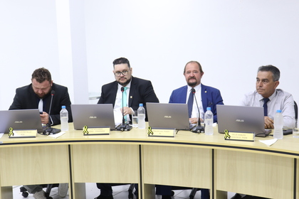 34ª Reunião Ordinária 