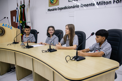 Câmara mirim