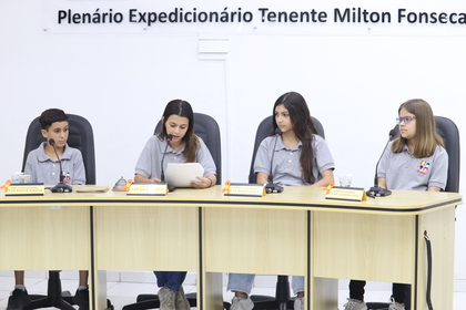 Posse Mirins