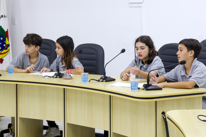 Câmara Mirim