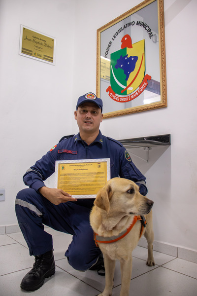 Galeria de fotos