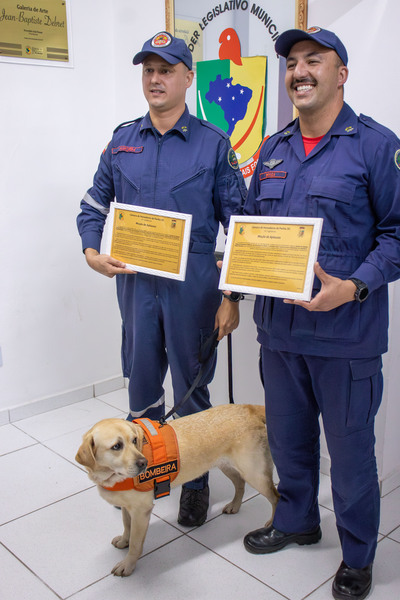 Galeria de fotos