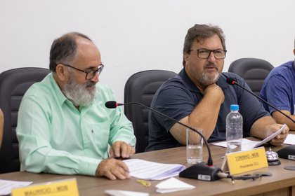 Comissões dia 31-03-2025