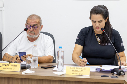 Comissões Permanentes - 07/04/2025