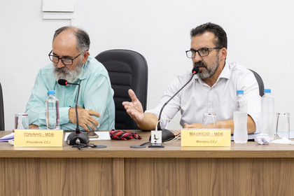 Comissões Permanentes - 07/04/2025