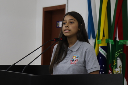 Câmara Mirim
