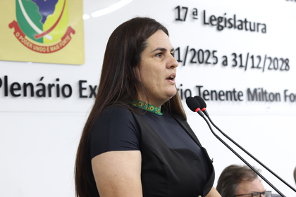 46ª Reunião Ordinária 